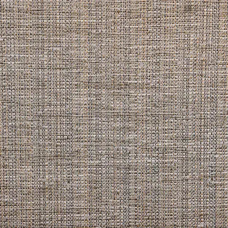 Chaises de salle à manger capitonnées de style intérieur/extérieur